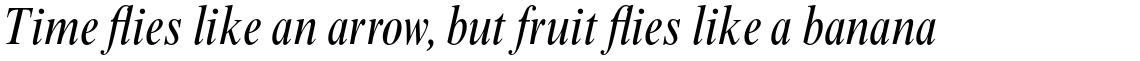 Times New Roman Pro Condensed Italic