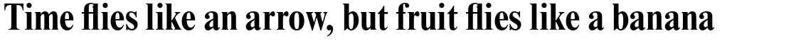 Times New Roman Pro Condensed Bold
