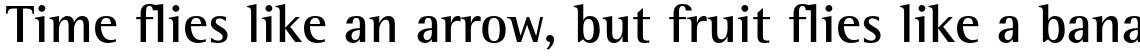 Rotis Semi Serif Std 65 Bold
