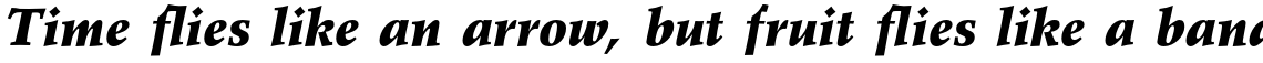 Wile Std Black Italic