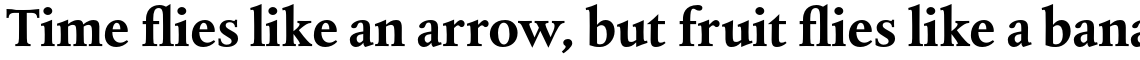 Albertina Std Bold