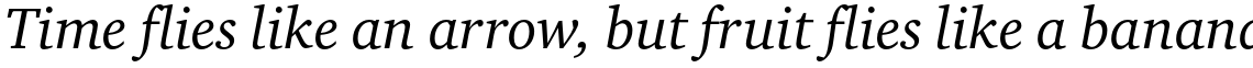 ITC Charter Std Regular Italic