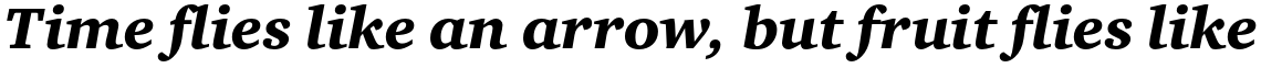ITC Charter Std Black Italic