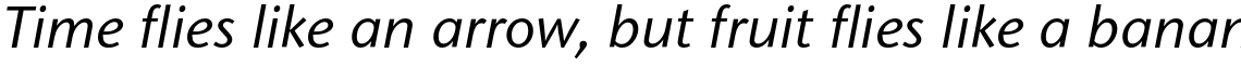 ITC Stone Sans Std Medium Italic