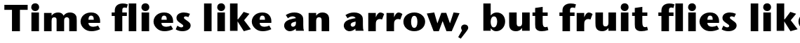 ITC Stone Sans Std Bold