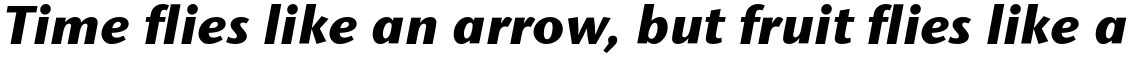 ITC Stone Sans Std Bold Italic