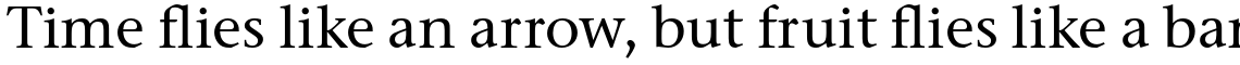 ITC Stone Serif Std Medium
