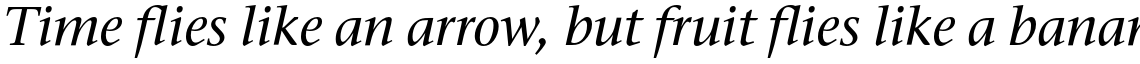 ITC Stone Serif Std Medium Italic