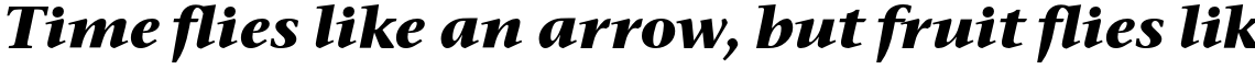 ITC Stone Serif Std Bold Italic