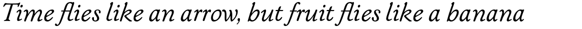 ITC New Winchester Std Book italic
