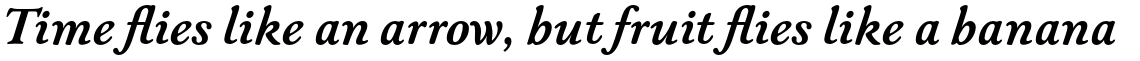 ITC New Winchester Std Bold Italic