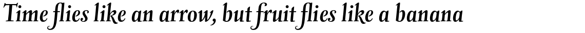 ITC Vineyard Std Bold