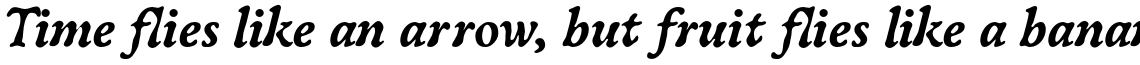 ITC Oldbook Std Bold Italic