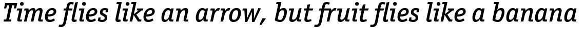 ITC Officina Serif Pro Medium Italic