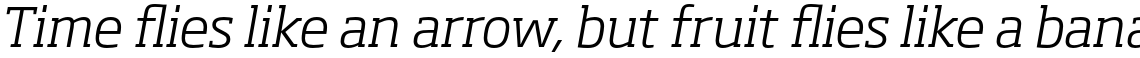 Soho Pro Light Italic