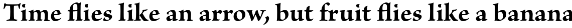 Brioso Pro Bold