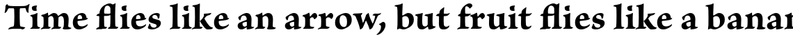 Brioso Pro Bold Caption