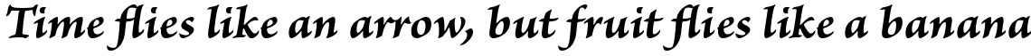 Brioso Pro Bold Italic Caption