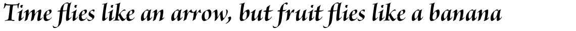 Brioso Pro Bold Italic Display