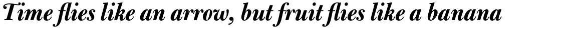 Bulmer Std Bold Italic Display