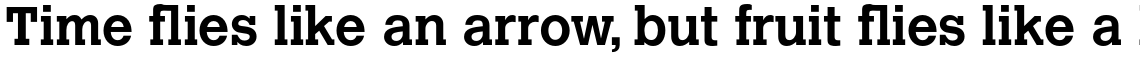 Calvert Std Bold
