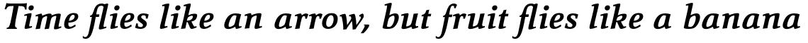 Carré Noir Std Bold Italic