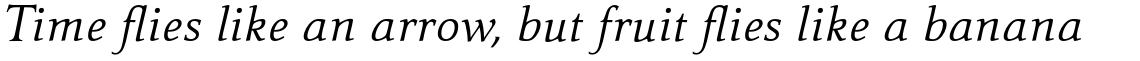 Carré Noir Std Light Italic