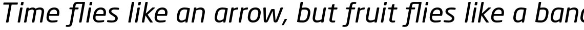 Neo Sans Pro Italic