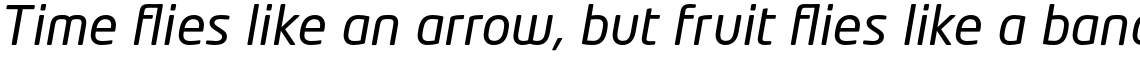 Neo Tech Pro Italic