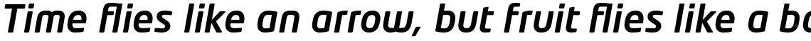 Neo Tech Pro Medium Italic