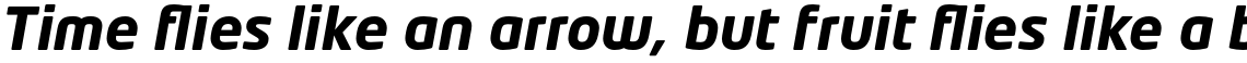 Neo Tech Pro Bold Italic