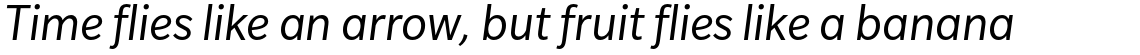 Slate Std Book Italic
