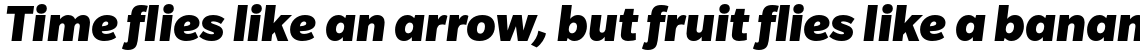 Slate Std Black Italic