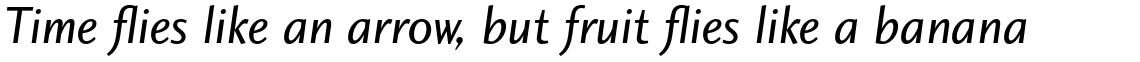 Charlotte Sans Std Book Italic