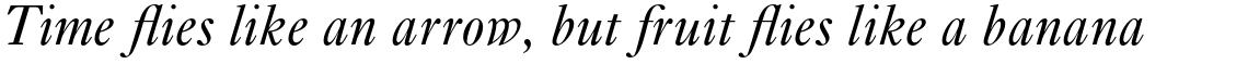 Ehrhardt Pro Italic