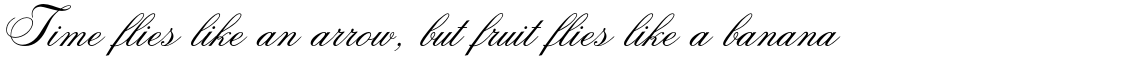 Citadel Script Std Regular