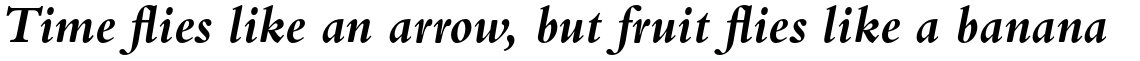 Bembo Pro Bold Italic