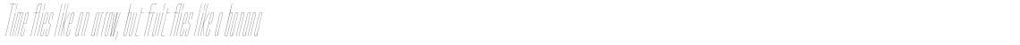 Loft Std Hairline Italic