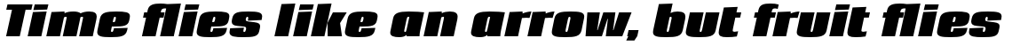Loft Std Bold Italic