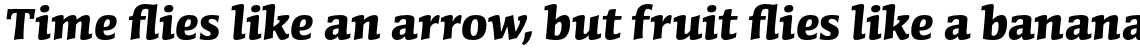 Conga Brava Std Bold