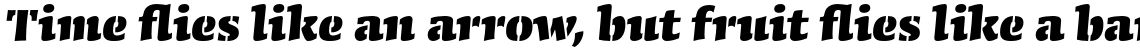 Conga Brava Std Stencil Black