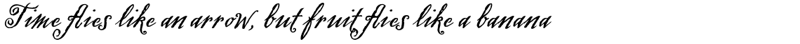 Swank Std Bold