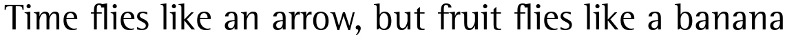 Rotis Semi Serif Pro 55 Roman