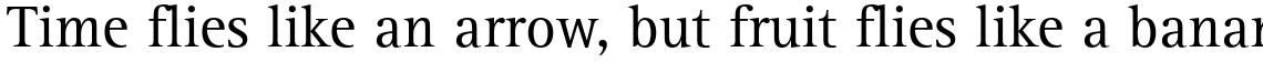 Rotis Serif Pro 55 Roman