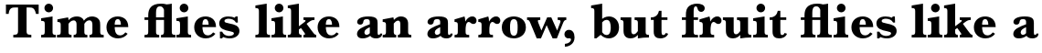 Monotype Baskerville Pro Bold