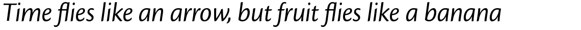 Cronos Pro Display Italic
