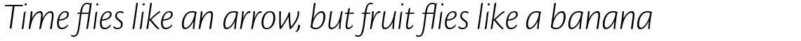 Cronos Pro Light Display Italic