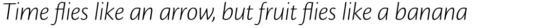 Cronos Pro Light Subhead Italic