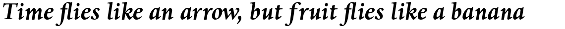 Dante Pro Bold Italic