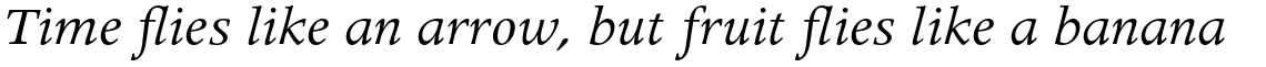 Apollo Pro Italic